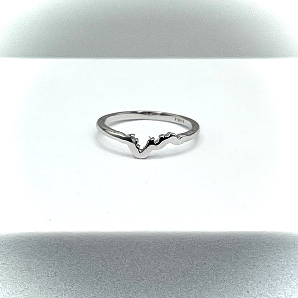 Base Bottom Band (Lake Michigan/Huron Shoreline)