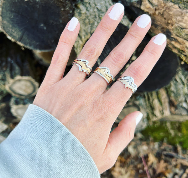 Base Bottom Band (Lake Michigan/Huron Shoreline)