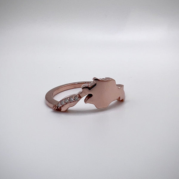 Lake Superior North Shore Luxe Band